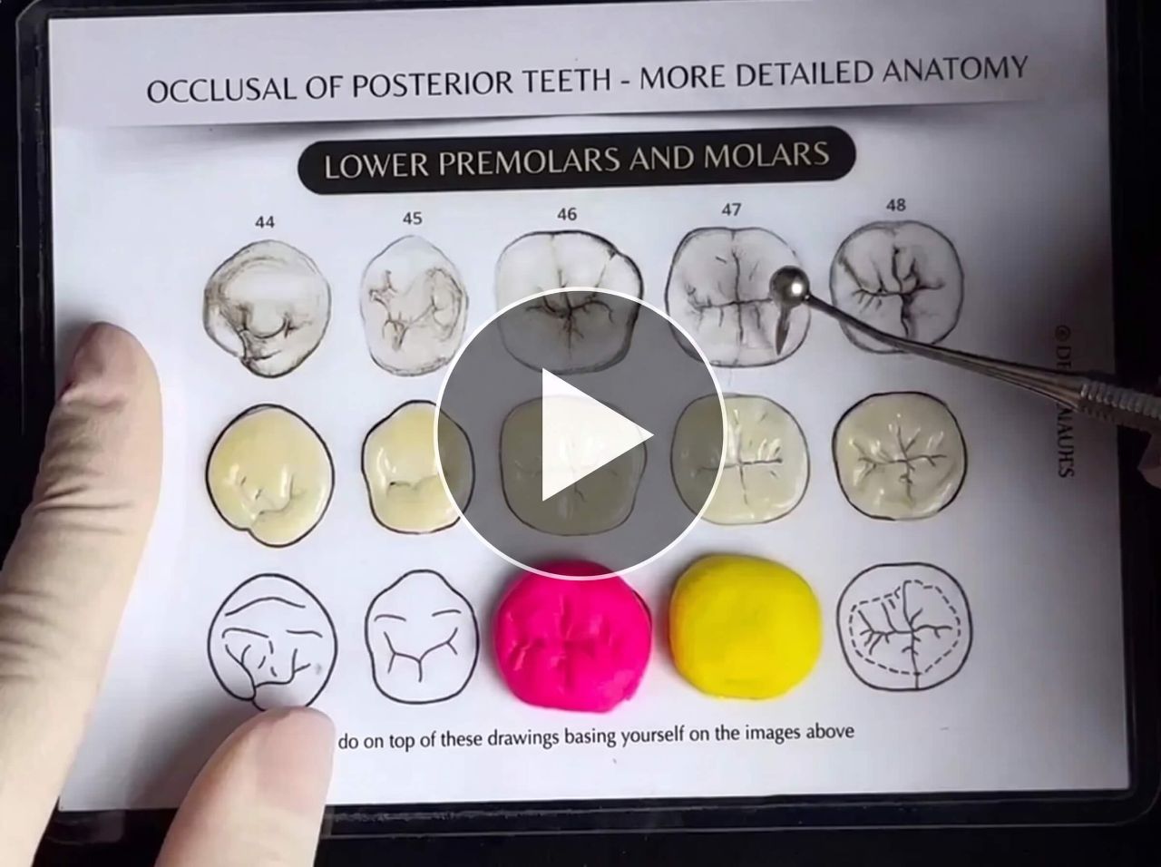 Bonus #1 - Course: ToothSculpt PRO