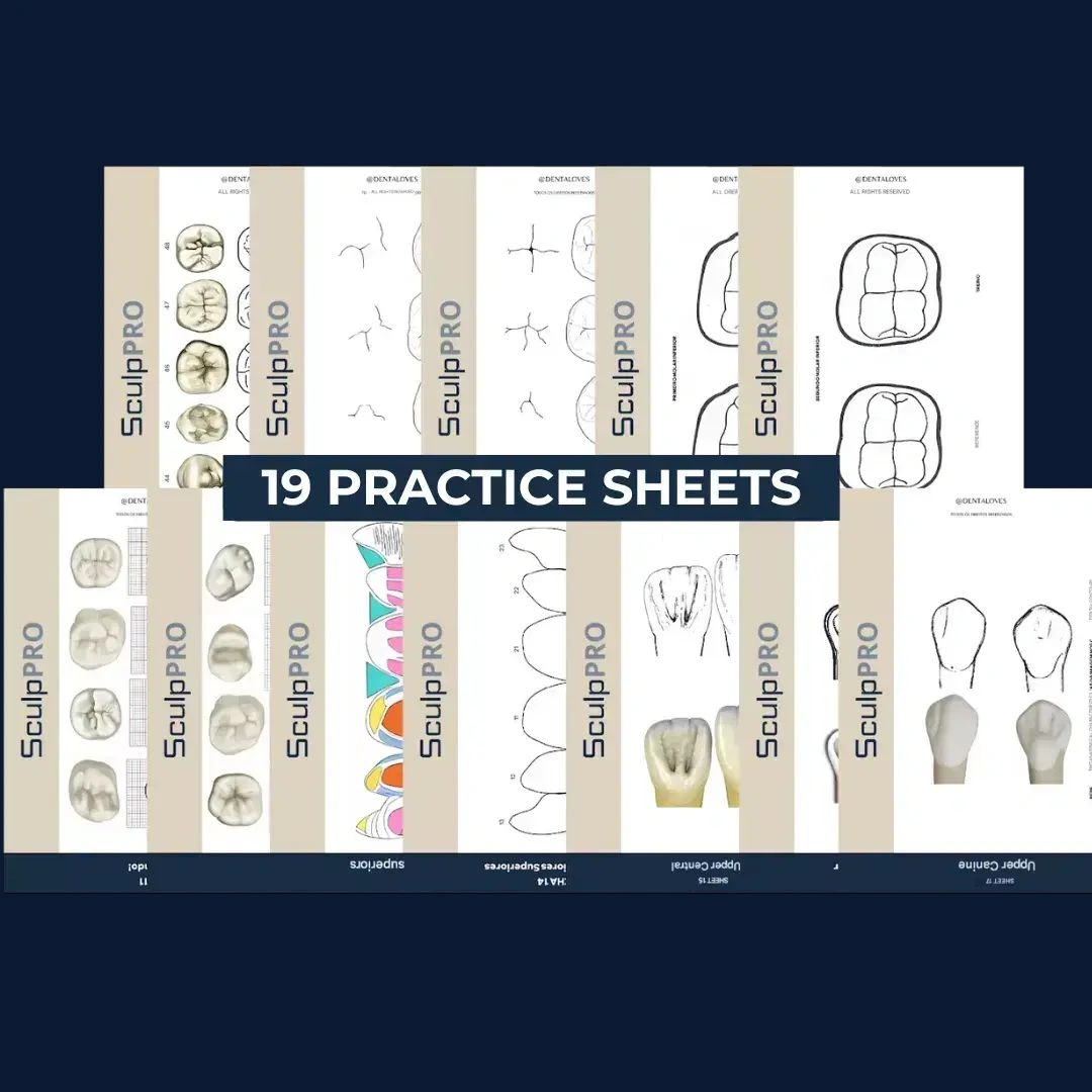 19 practice sheets